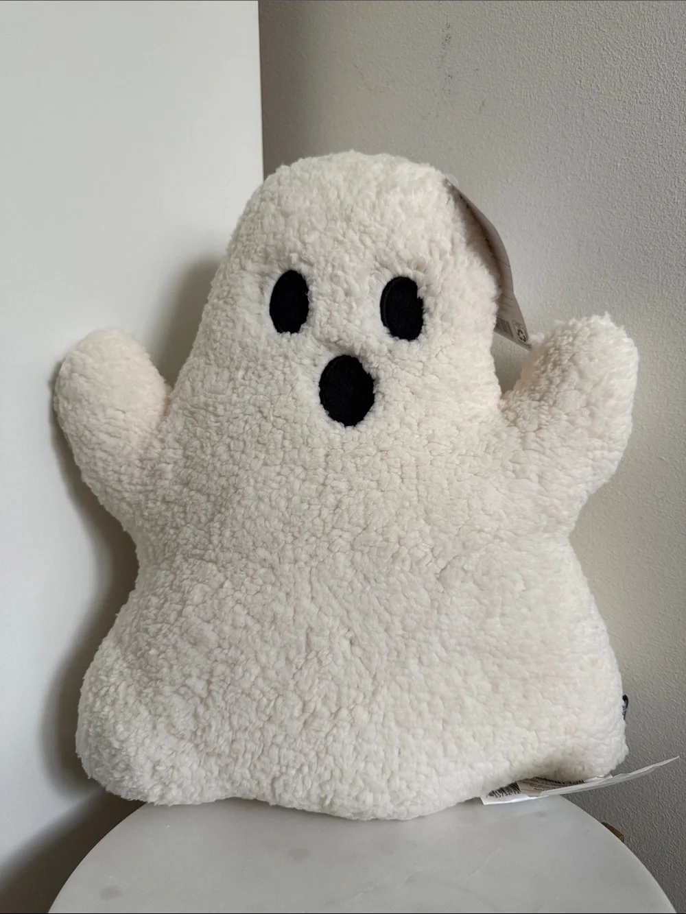 My Texas House Ghost Pillow